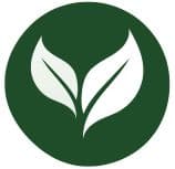 Dental Crafts - Dental Care Surgical Instruments